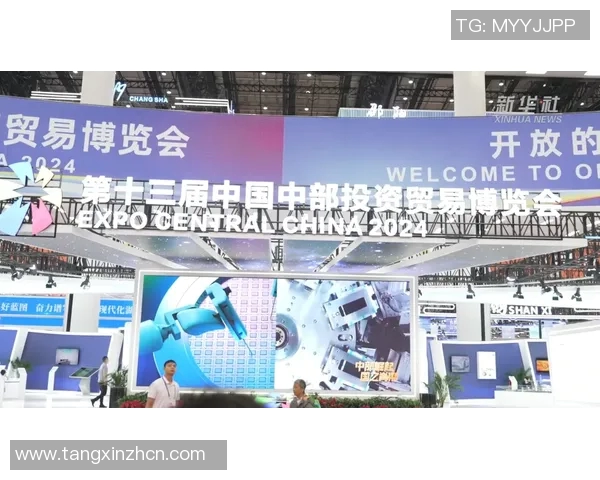 糖心vlog产精国品入口-糖心Vlog，探秘国品入口的精致生产之道-